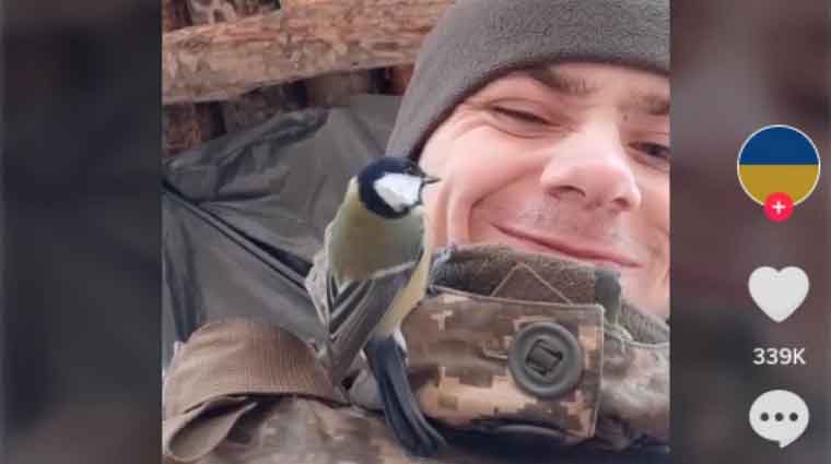 soldat ucrainean cu pitigoi